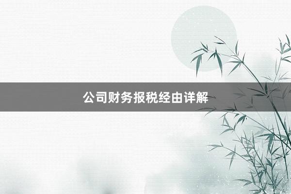 公司财务报税经由详解